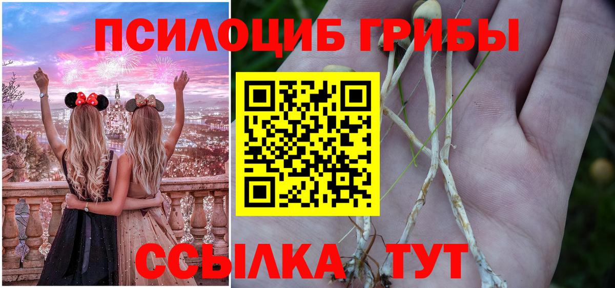Галлюциногенные грибы MAGIC MUSHROOMS Мурманск